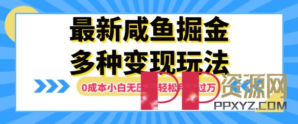 【赚钱教程】最新咸鱼掘金玩法，0成本无压力，多种变现方式，轻松月入过W